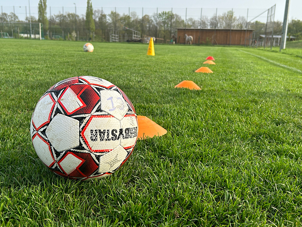 (C) 2024 - Florian Windeck